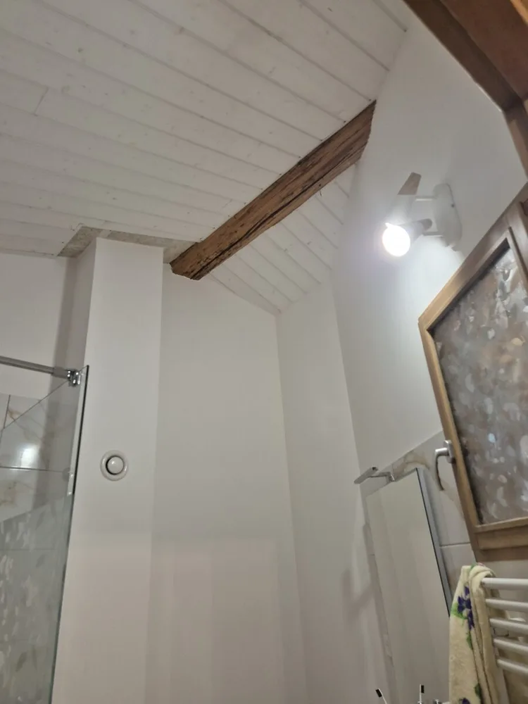 Fenêtre de toit de la salle d’eau, dont l’étanchéité reste à vérifier